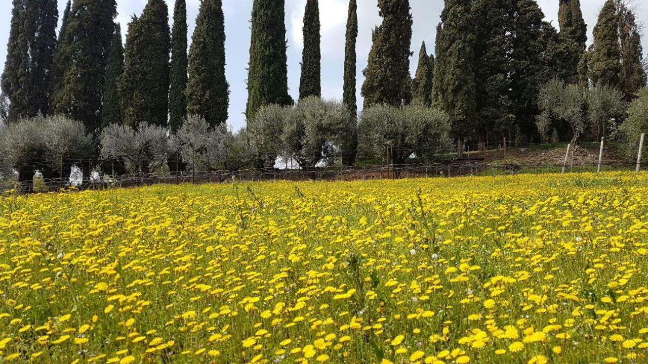 Villa Dei Cipressi Wine Resort Sona Exterior foto